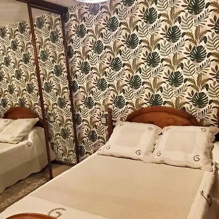 Maison Confort Avec Jardin 3* Langeac